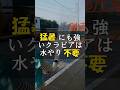 猛暑に負けないクラピアは水やりも不要でした #Shorts