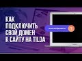 Как зарегистрировать свой домен и подключить его к сайту на Тильде(Tilda)