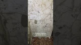 Recorrido por los calabozos de la Isla Martín García