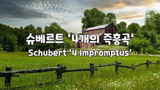 [일간클래식]  슈베르트 '4개의 즉흥곡' (1시간듣기) ♬ 'Schubert '4 Impromptus' (1Hour Repeat) by Emotional life 2,992 views 2 years ago 1 hour, 3 minutes