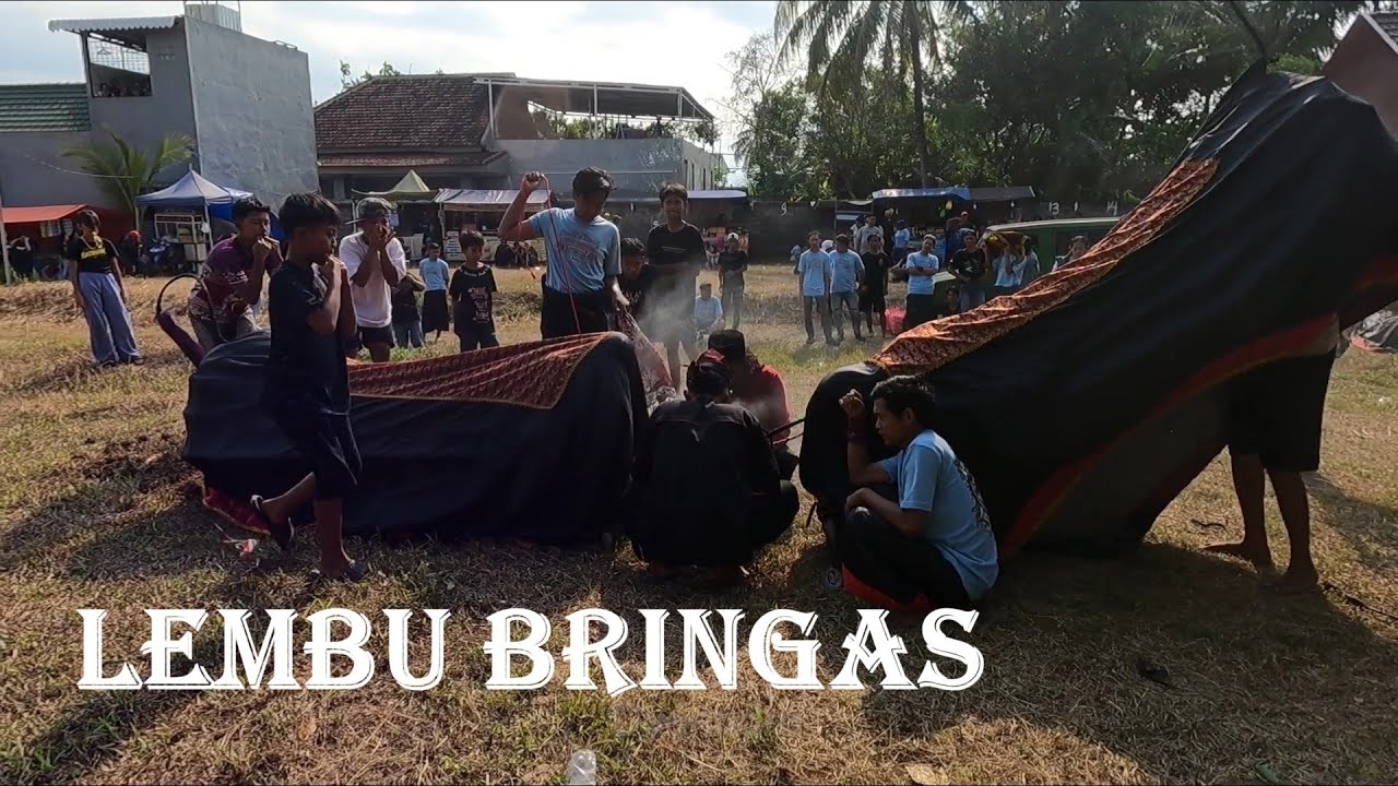 Atraksi Bantengan Lembu Bringas mberot mengejar bocil