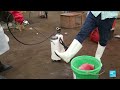 Ebola death toll tops 1.800 in DRC • FRANCE 24 English