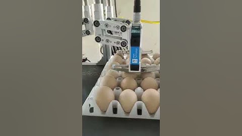 egg ink jet printer eggs printing machine date logo