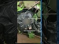 Father and son find dead dog in garbage bag while fishing along Genesee River