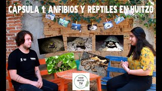 CÁPSULA 1: HERPETOFAUNA EN HUITZO