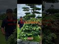 Tác phẩm nghệ thuật mất 5 năm