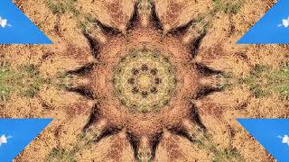 TMS Sampler 7 By Thomas Martin Scott