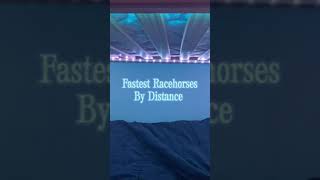 Fastest Racehorses By Distance #shorts  #horse #horseracing #secretariat