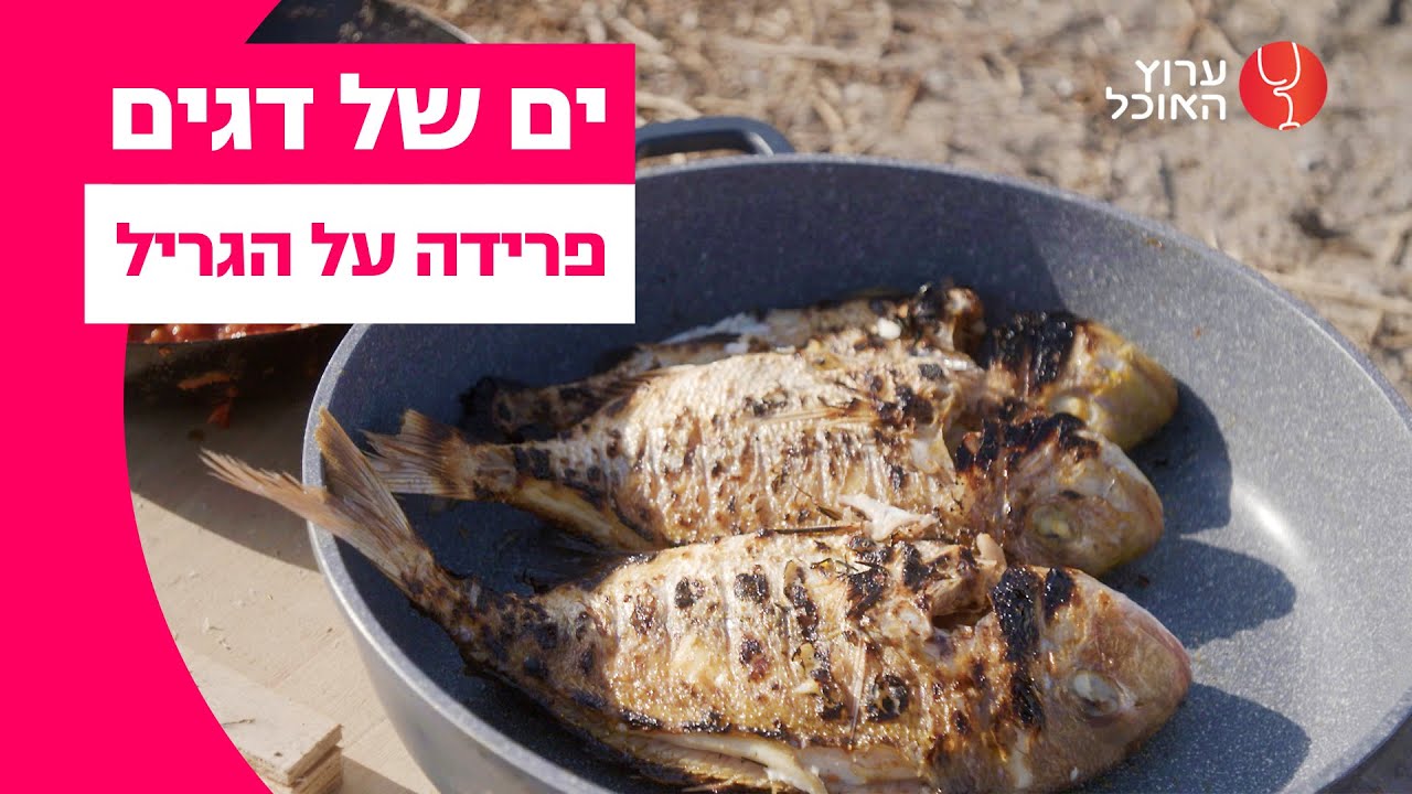 פרידה על הגריל | מתוך ים של דגים עם יחי זינו
