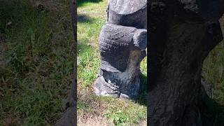 Tree Trunk Grave Mystery: Joseph Walton's Pioneer Story #cemetery #grave #scarborough #history