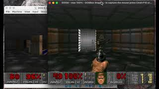 A DOSbox server that runs ... on DOS