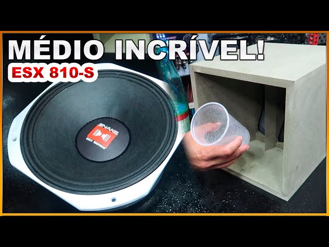 Médio Snake ESX810-S 10 Pol 450 RMS Review + TESTE + CURVA NA