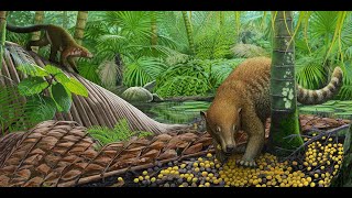 After the Impact How Life Bounced back after the Extinction of the Dinosaurs