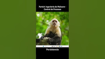 Persistencia Operativa en la Ejecución de Scripts  #ciberseguridad #windows #hackingetico