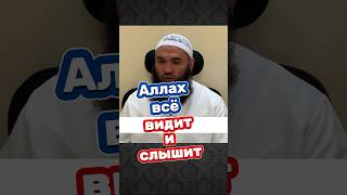 Аллах всё о тебе знает #ислам #единобожие #таухид #Аллах #вера #сладостьверы #принятьислам