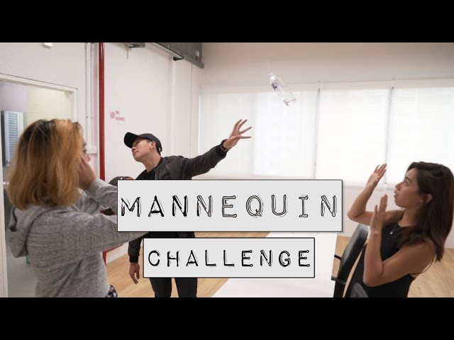 THE MANNEQUIN CHALLENGE IN A SINGAPORE OFFICE - TSL Comedy