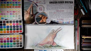 How To Color The Amazon River Dolphin ( Coloring Pencils And Water Color Paint)