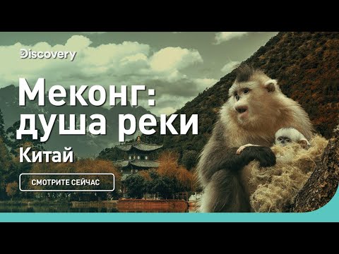 Видео: Меконг: душа реки | Китай | Discovery