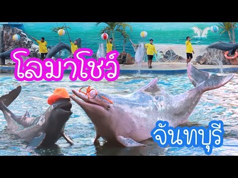 โลมาโชว์ โอเอซิส ซีเวิลด์ จันทบุรี โอเอซิส ซีเวิลด์ โลมาโชว์ ไทยแลนด์