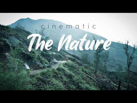 Video Sinematik Alam (Hutan, Gunung, Air Terjun, & Tumbuhan) BACKSOUND CINEMATIC - Bakteri Cakep