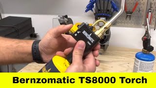 Is the TS8000 Torch really worth the extra money?