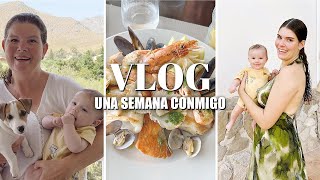 JUEGOS de MESA + 3º CUMPLEMES de DALMI | VLOG SEMANAL 19