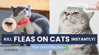 How to Kill Fleas on Cats Instantly: Fast and Effective Remedies!