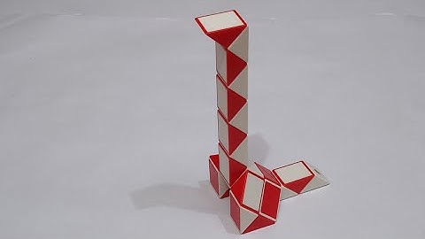 Dinosaur Type 3 | Snake Cube Pattern