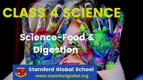 Class 4 Science Chapter 5 Food & Digestion