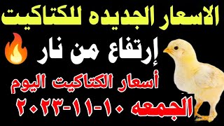 اسعار الكتاكيت البيضاء اليوم/ سعر الكتكوت الأبيض اليوم الجمعه 10-11-2023 مصر
