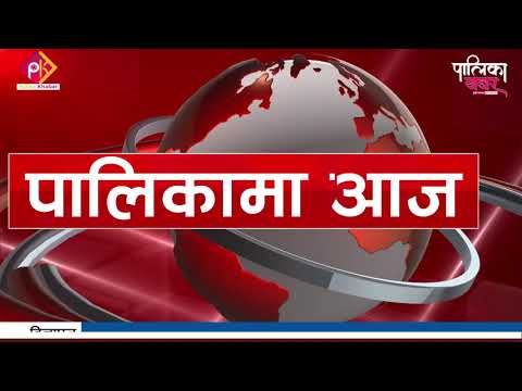 बालविकास शिक्षकको जताततै तलब वृद्धि, महाशिलामा किचेन गार्डेनले ल्याउँदै समृद्धि (भिडियो खबर)