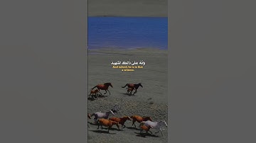 سورة العاديات #احمد_العجمي