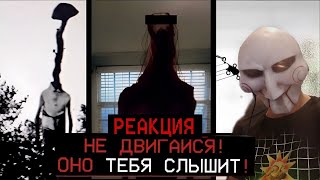 БУДЬ КАК МОЖНО ТИШЕ! | Doctor Nowhere (TikTok) | Реакция на Nikita2504