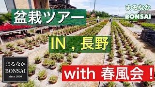 盆栽ツアーIn長野、with 春風会! @まるなかBONSAI