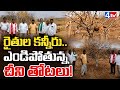 రైతుల కన్నీరు.. ఎండిపోతున్న చీని తోటలు! @4thtvnews 