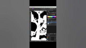 Quick Object Cut-Out | Affinity Photo Tutorial
