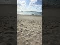 台風の後のグアムのビーチ!すこーし浜が小さくなっていた件!