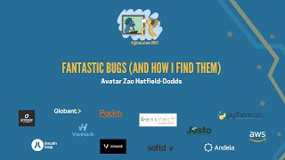 Fantastic Bugs (and how I find them)