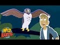 Owl Exploration Quiz