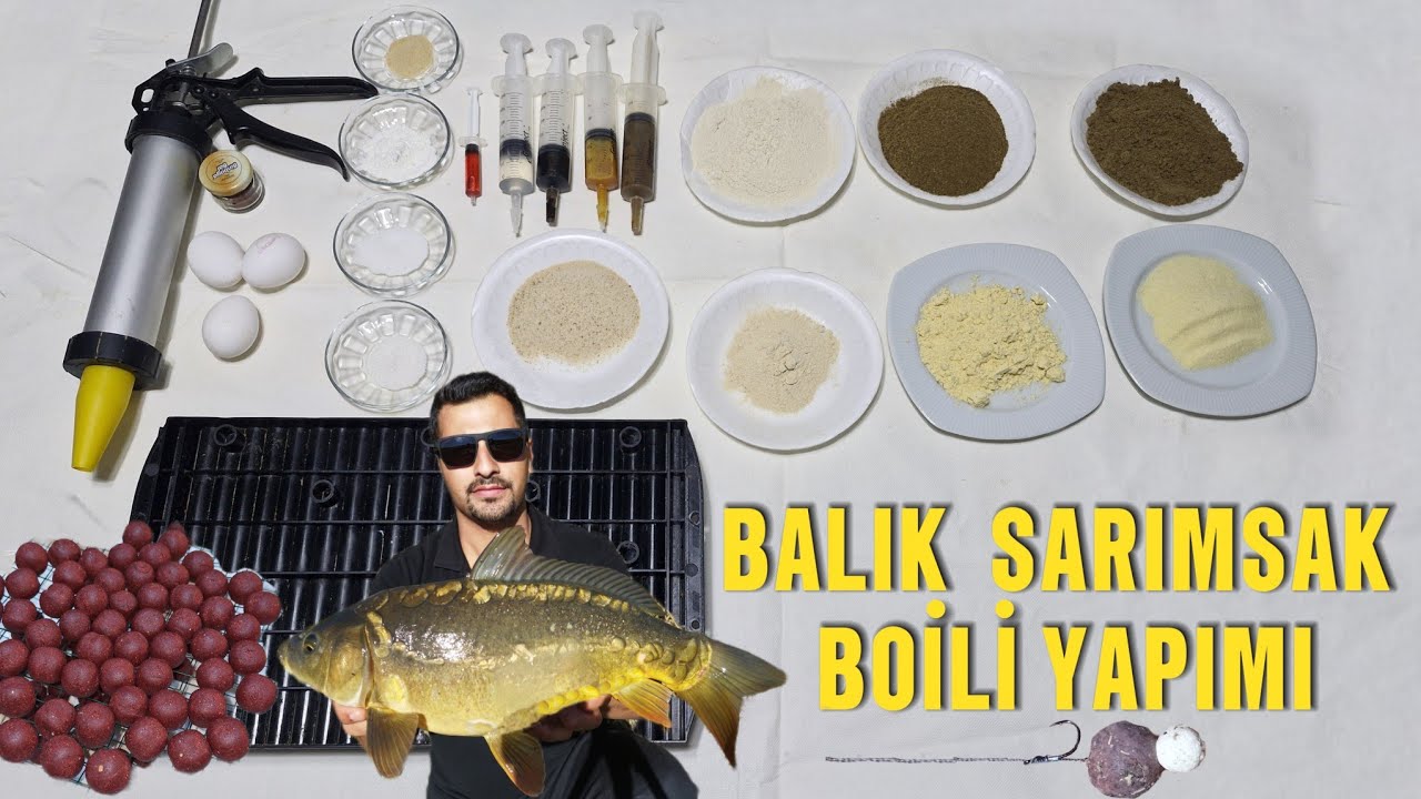 Balık & Sarımsak Boili Yapımı Sazan Avında Kullanılandığım En Etkili Yem