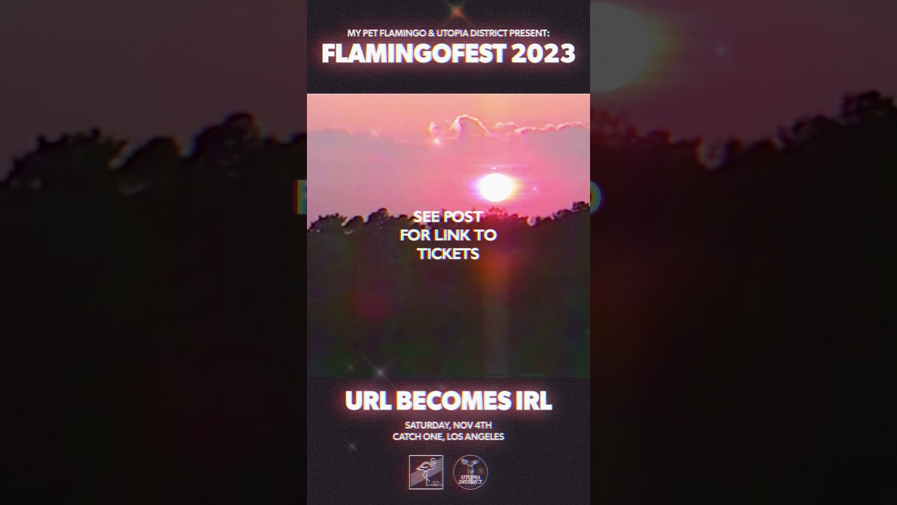 猫 シ Corp. live at Flamingofest 2023 Catch One in Los Angeles 11/04/23! #flamingofest #catcorp