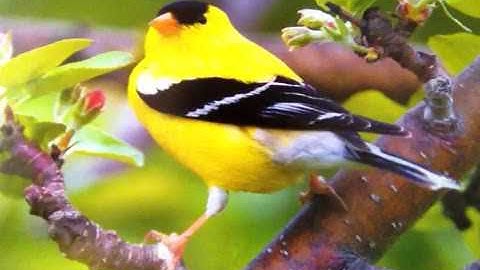 Impossible 2 Possible & Misfortune 2 Fortune