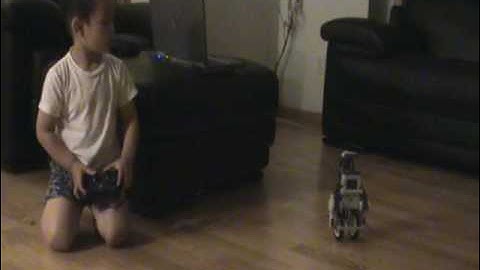 nxtway remote control