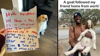 The Most Wholesome Posts To Fill You With Joy (NEW) || Funny Daily