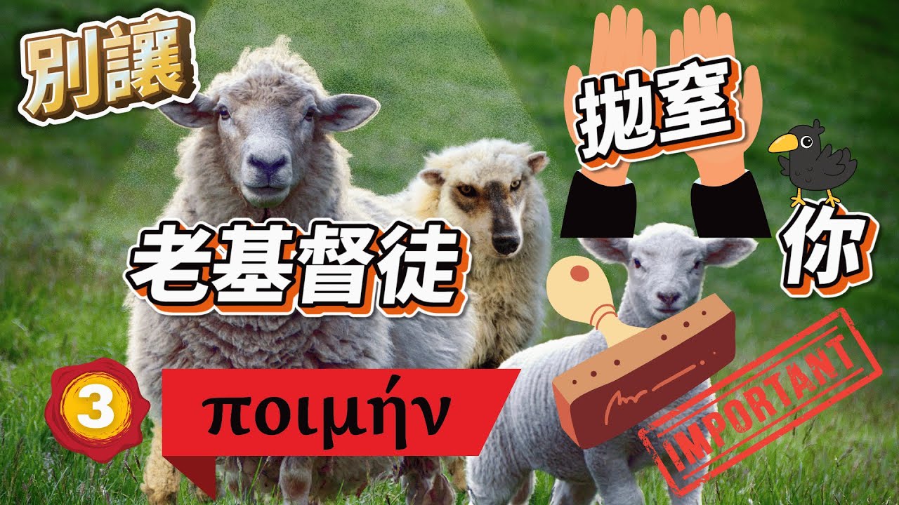 「牧師」的由來（上集）| 別讓老基督徒拋窒你 | 片尾 Hillsong女受害人對教會的控訴