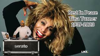 Tina Turner -What’s love got to do with it (2notty Remix)