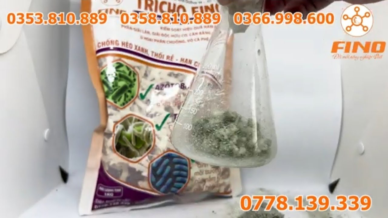 Trichoderma chất lượng | Cách xác định: rắc vào cơm, thêm ít nước | TRICHO FINO | Tri Cô THẬT!