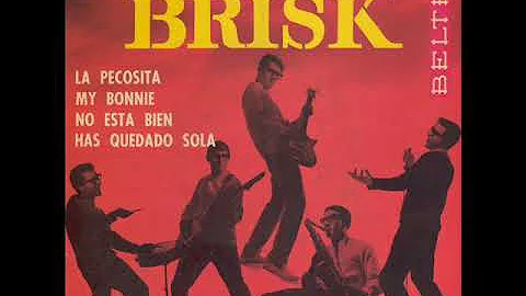 The Brisks - La pecosita (1964)