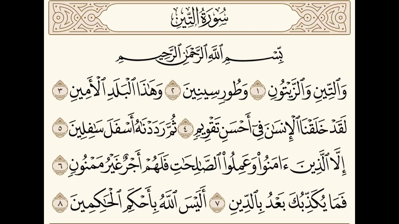 سورة التين للشيخ المقرئ عبدالقادر العثمان ..