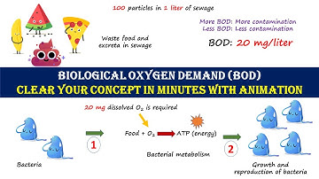 Biological Oxygen Demand (BOD) | Learn easy learn smart